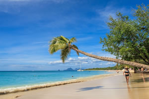 Martinique